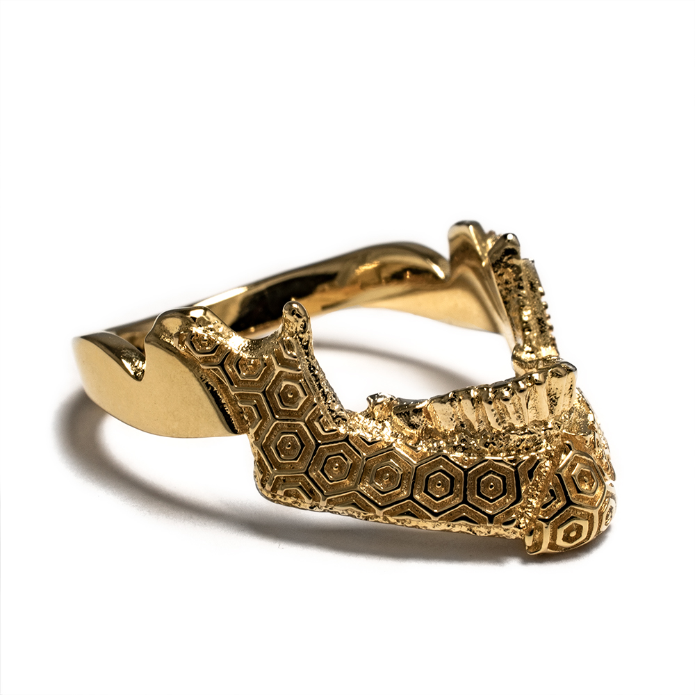 Cosmic Skull Ring with 10K Gold Jaw - Image 5