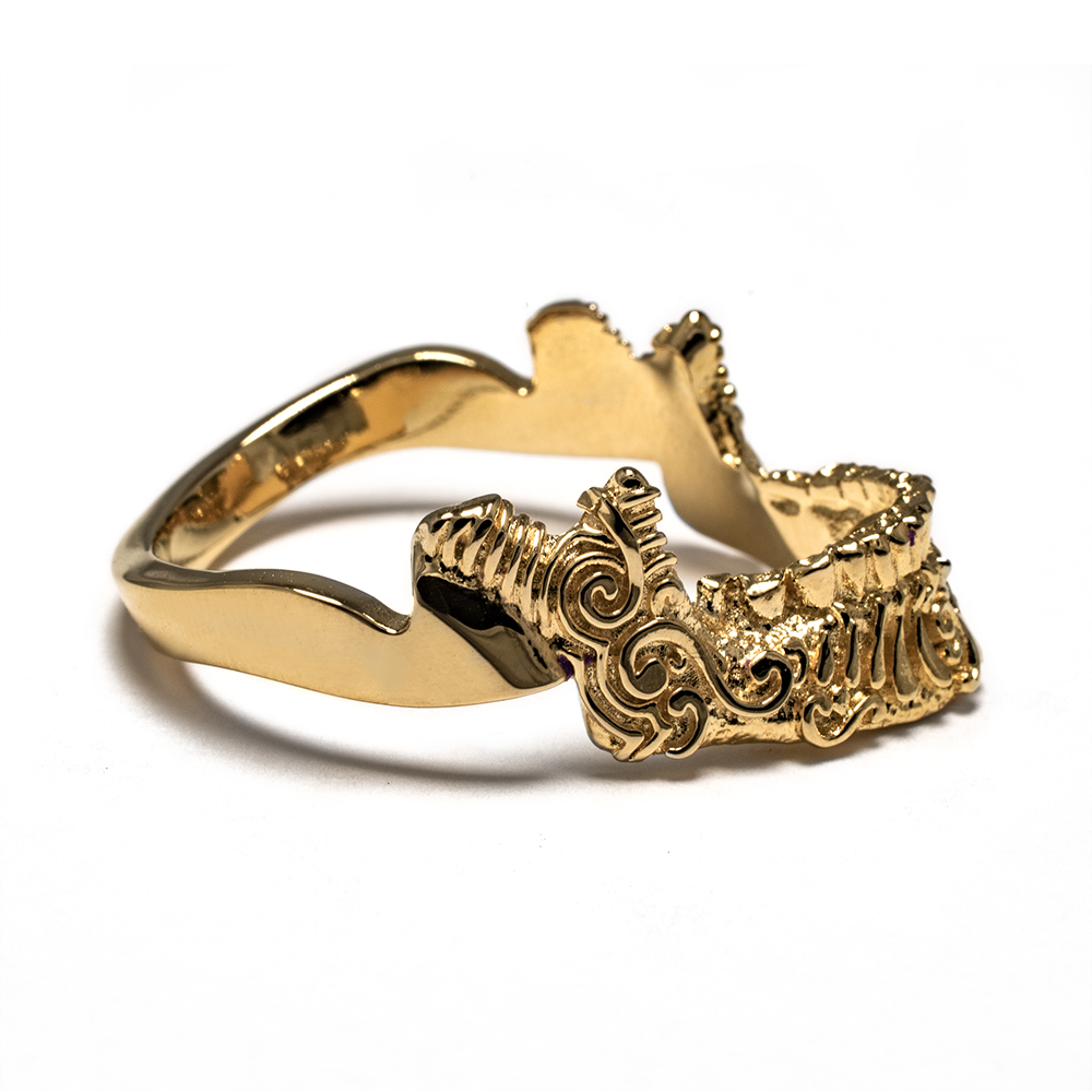 Goth King Skull Ring with 10K Gold Jaw - Image 5